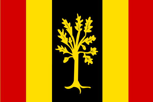 Bestand:Waalwijk vlag.png