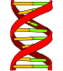 Bestand:DNA icon 70px.png