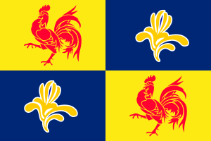 Bestand:Flag of the French Community Commission.png