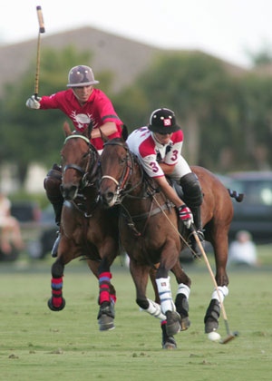 Bestand:Polo players.jpg
