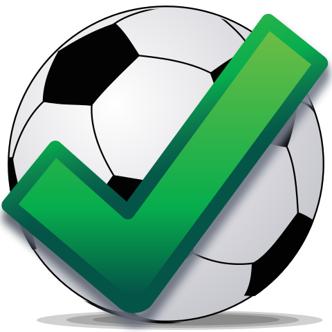 Bestand:Soccerball shad check svg.png