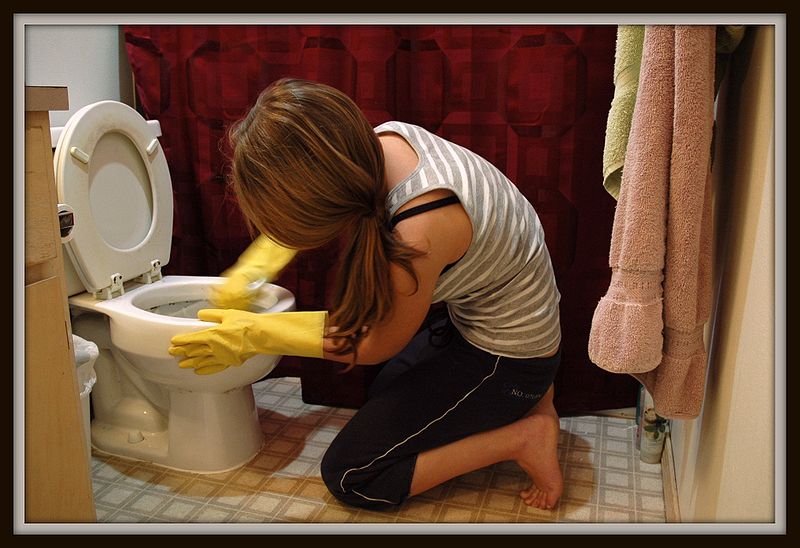 Bestand:800px-Woman cleaning toilets.jpg