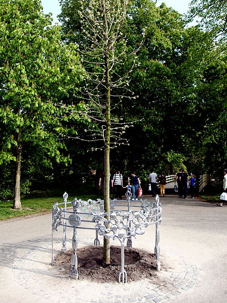 Bestand:Maastricht Stadspark Tree planted for inauguration of King Willem Alexander.JPG