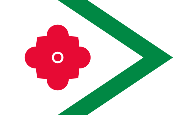 Bestand:Flag of Landerd.png