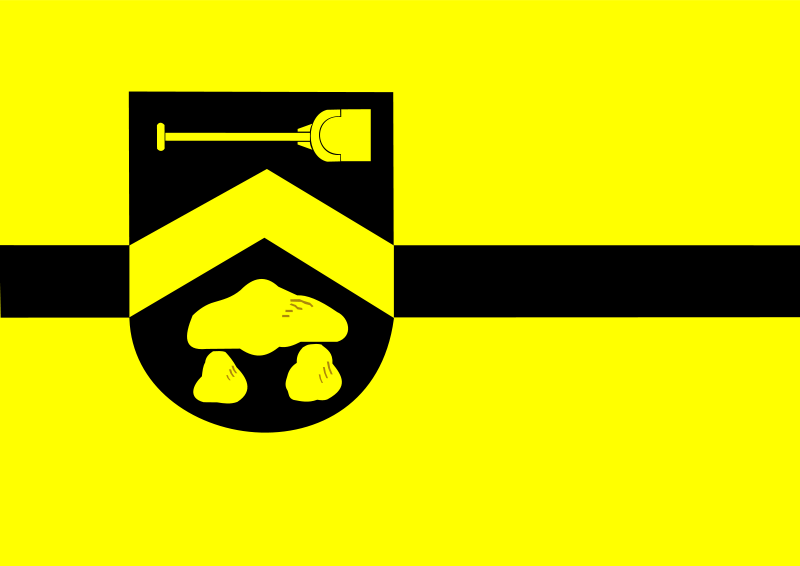 Bestand:Borger-Odoorn vlag.png