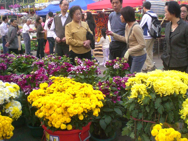 Bestand:800px-HK Sham Shui Po Fa Hui Park Flower Fair Negotiation.jpg