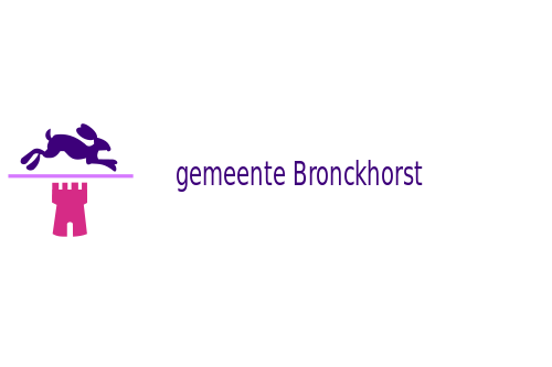 Bestand:Bronckhorst vlag.png