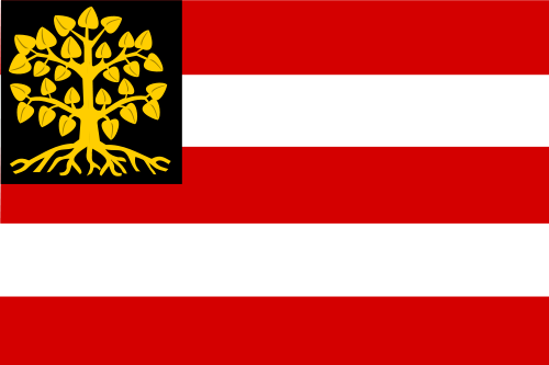 Bestand:Hertogenbosch vlag.png