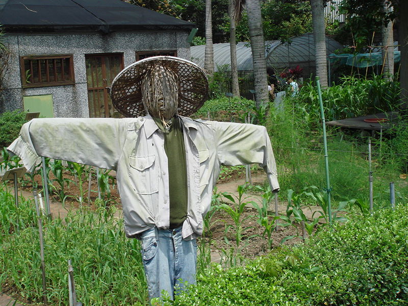 Bestand:800px-Scarecrow in Taipei.jpg