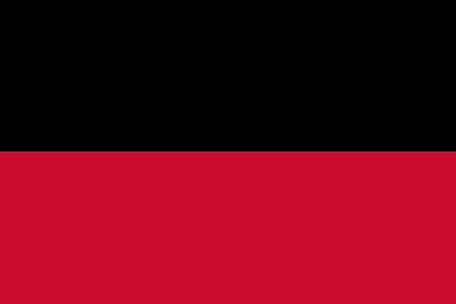 Bestand:Flag of Nijmegen.png