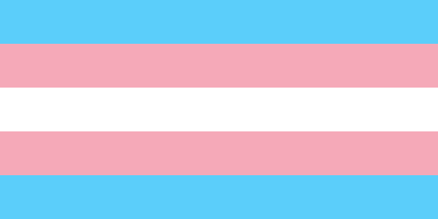 Bestand:Transgender Pride flag.png