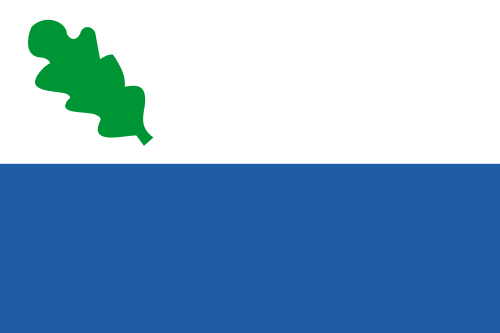 Bestand:Oirschot vlag.png