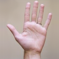 Bestand:LeftHand 2.png