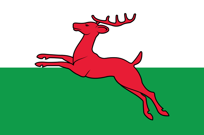 Bestand:Smallingerland flag.png