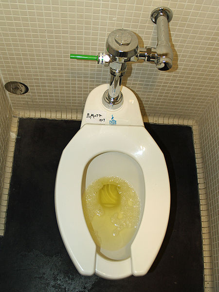 Bestand:450px-Urine in a toilet at the Denver Museum of Contemporary Art.jpg