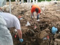 Bosnia mass grave.jpg