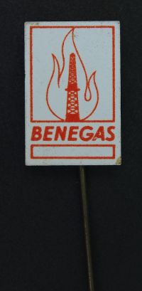 Miniatuur voor Bestand:Benegas speldje.JPG