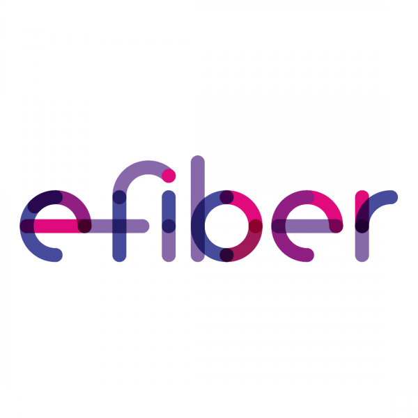 Bestand:E-Fiber logo vierkant.png