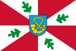 Miniatuur voor Bestand:Tytsjerksteradiel flag.png