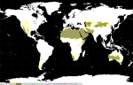 Miniatuur voor Bestand:Type B-klimaat wereld.png