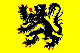 De Vlaamse Leeuw: de officiële vlag