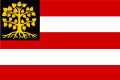 Hertogenbosch vlag.png