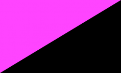 Roze-zwarte vlag, een Queeranarchistisch symbool