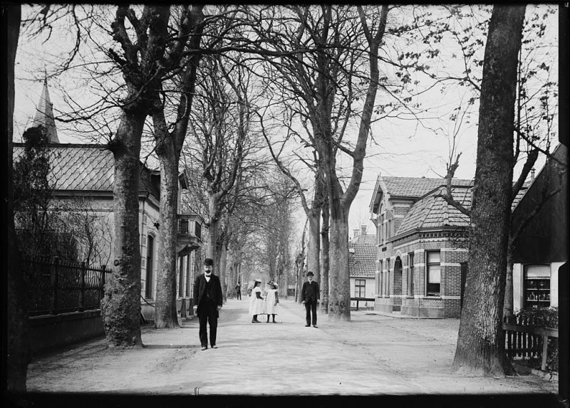 Bestand:Dorpstraat, Bergen 1914.jpg