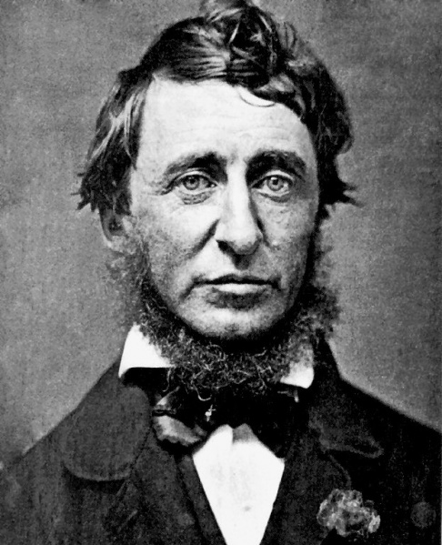 Bestand:Henry David Thoreau.jpg