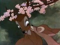 Miniatuur voor Bestand:Bambi 1.jpg