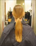 Miniatuur voor Bestand:The ponytail still intact.jpg