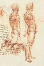 Miniatuur voor Bestand:Anatomy of a Male Nude.jpg