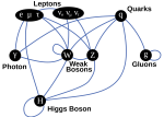 Miniatuur voor Bestand:Elementary particle interactions.png