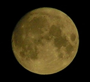 654px-Full moon.jpg